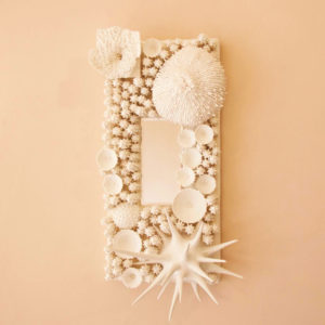 coral rectangle mirror